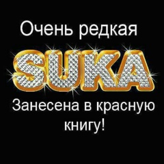 Гуляра Адилова, Губкинский