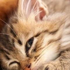 Евгения Зуева, 07.12, Шлиссельбург