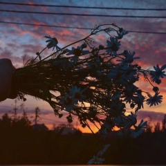 Алина Герасимова, 06.11.1996