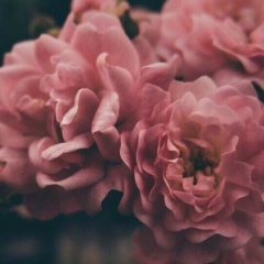 Олеся Качура, 26.02.1991, Vancouver