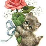 Василий Безуглов, 08.03.1991, Кемерово