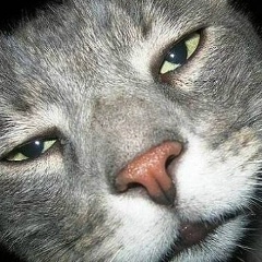 Sergey Sergeevich, 10.11, Москва