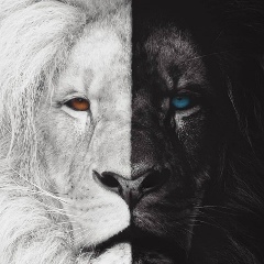 Айдар Кыдырбаев, Актобе