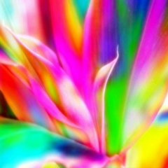 Любочка Дубова, 07.06, Москва