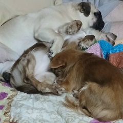 Наталья Жевнерова, 22.07.1972, Санкт-Петербург