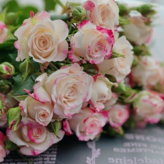 Марина Каныгина, 12.03, Воскресенск