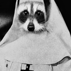 Ростислав Горшунов, 02.03, Санкт-Петербург