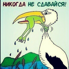 Вера Петренко