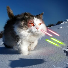 Александр Линчевский, 04.01.1989