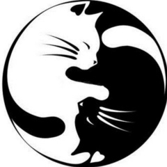 Любовь Никулина, 15.01, Санкт-Петербург