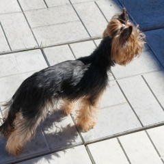 Оксана Миценко, 13.01, Северодвинск