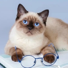 Галина Абраменко