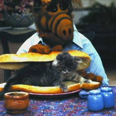 Лёха Баэк, 08.06.1985