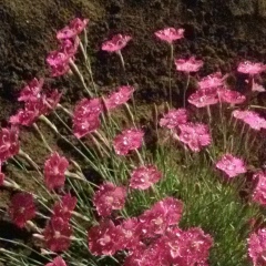 Аля Осипьянц, 16.08, Харьков