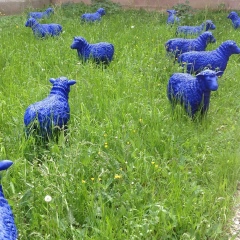 Виктория Шефер, Санкт-Петербург