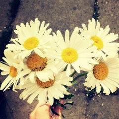 Асель Болаткызы, 28.06, Алматы