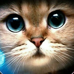 Владислав Митрохин, 04.03