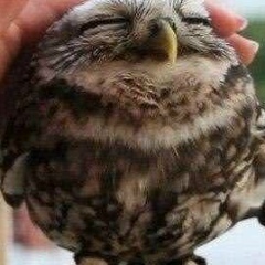 Эдуард Шитик, 02.08.1999, Москва