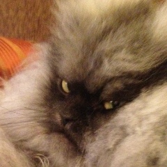 Александр Захарченко, 16.01.1990, Москва