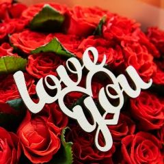 Евгения Румянцева, Санкт-Петербург