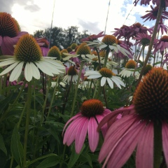 Ольга Брызгалова, 17.05, Петрозаводск
