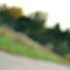 Настя Артемьева, 09.11