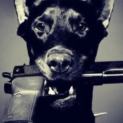 Kristina Agarkova, 27.09, Kraków