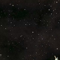 Станислав Бубнов, 23.01