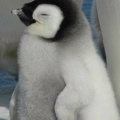 Данияр Абдулов, 03.03, Алматы