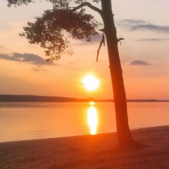 Андрей Баранов, Рыбинск