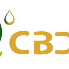 Sebastien Ocbd, 01.03.1978, Miami