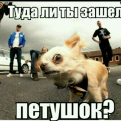 Хамло Невежественное, 13.08.1982