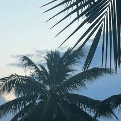 Вероника Беляева, 31.12.1985, Пермь