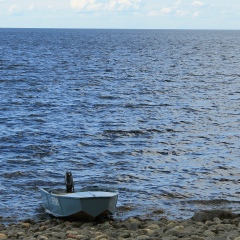 Владимир Мошников, 16.05, Санкт-Петербург