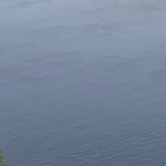 Колян Организм, Москва