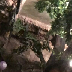 Фархат Юнусов, 18.01.2006, Алматы