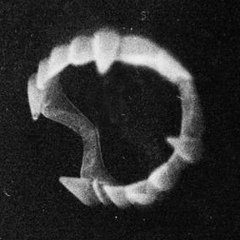 Гарик Lazer, 01.05.1999