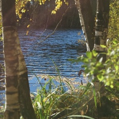 Игорь Тимофеев, 24.02.1983, Санкт-Петербург