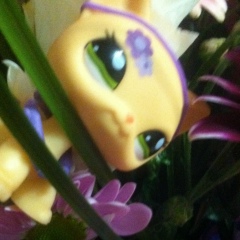 Мария Борисенко, 03.09.1991, Genève