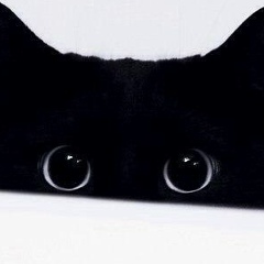 Анна Замчий, Кременчуг