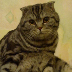 Миша Котов, 16.03