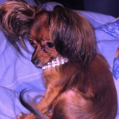 Солнышко Лесное, 06.01, Санкт-Петербург