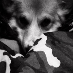 Алексей Ушаков, 25.08.1991, Видное