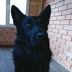 Евгений Гордеев, Нижний Новгород