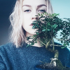 Алиса Берёзка, 08.02, Киев