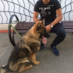 China Abilkhair, 08.01, Алматы