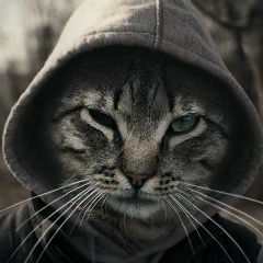 Василий Геннадьевич, 21.05, Майкоп