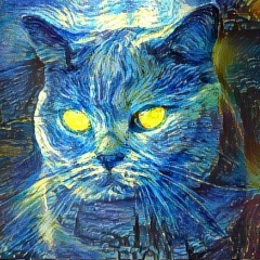 Дарья Малая, Томск