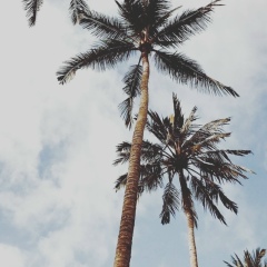 Аружан Кубашева, 06.07, Атырау