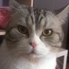 Николай Воюцкий, 13.10.1985, Тольятти